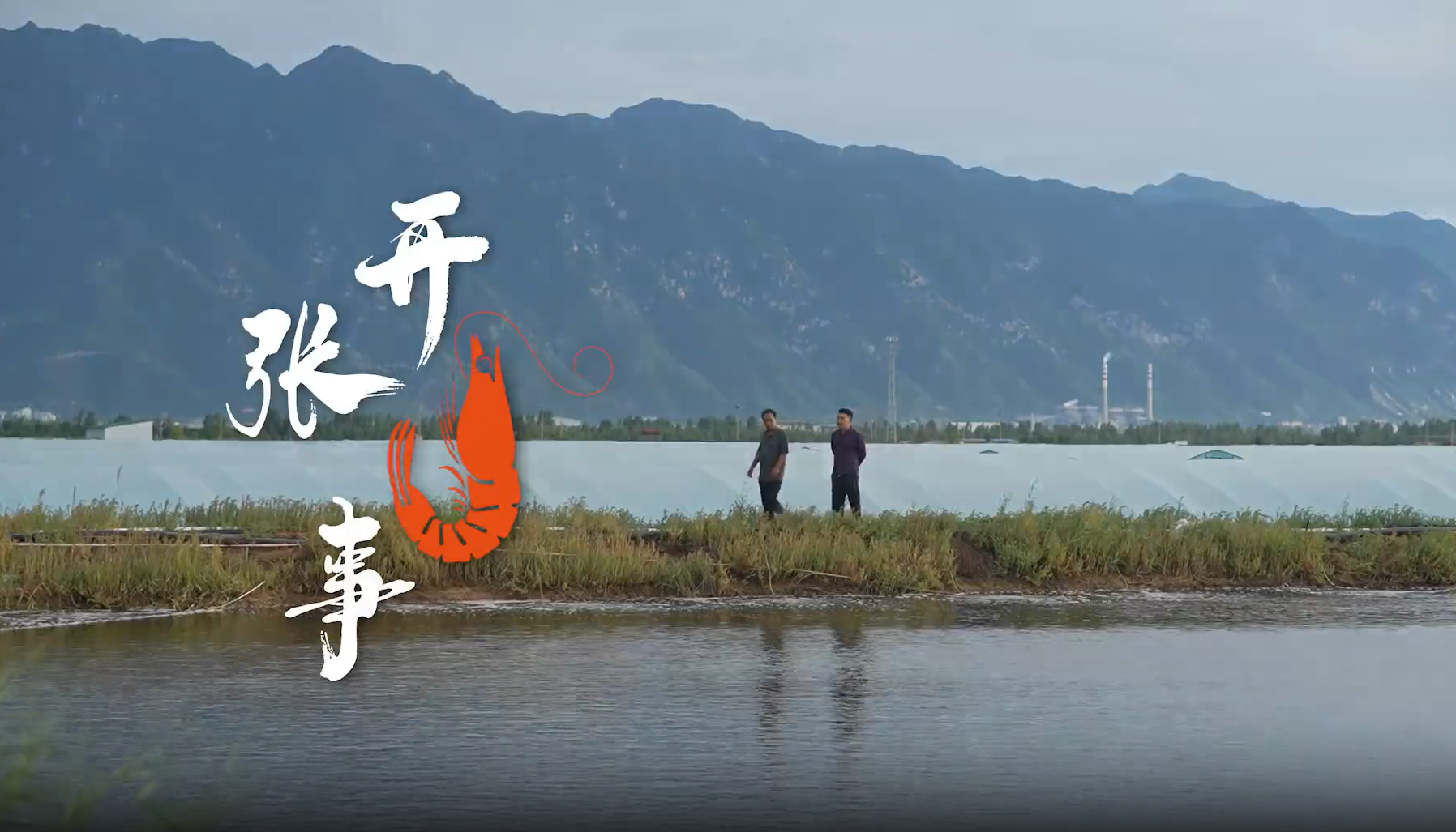 全市优秀党员教育电视片